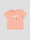 Popees Half Sleeve Chest Printed T Shirt (1-8 Years) for Boys