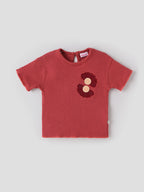 Popees Baby Girls T-Shirt with Floral Patch| Rust Red| 9 Months to 4 Years