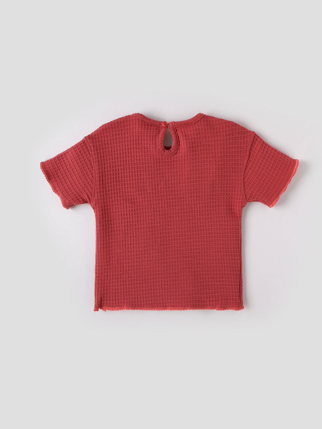 Popees Baby Girls T-Shirt with Floral Patch| Rust Red| 9 Months to 4 Years