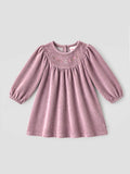 Popees Baby Girls Floral Embroidered Dress | Cloud Grey Full Sleeve Round Neck A-Line Dress  |3–24 Months|