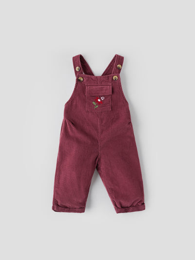 Popees Comfy & Trendy Dungaree Party Wear Set (3-24 Months) for Girls