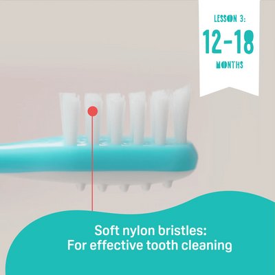 Training Toothbrush Lesson 3(color may vary depending on availability)