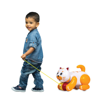Toy Pet - Billy The Cat for Kids