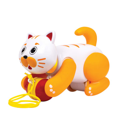 Toy Pet - Billy The Cat for Kids