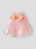 Popees Elegant Rosette Party Wear Dress Set (6-12 Months) for Baby Girls