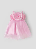 Popees Elegant Rosette Party Wear Dress Set (6-12 Months) for Baby Girls