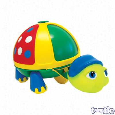 Roly Poly Turtle for Kids