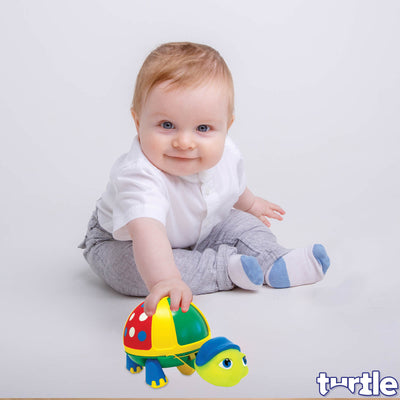 Roly Poly Turtle for Kids