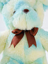 Adorable Teddy Bear Soft Toy